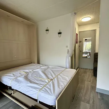 Cap D'agde Ct077-043 Agde